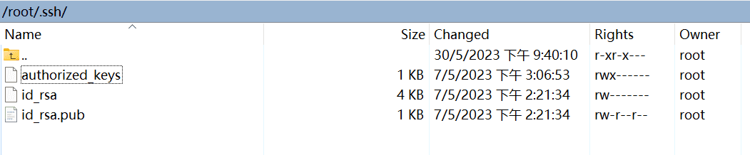 生成后root/.ssh